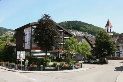 Hotel Pflug Hotel di Lautenbach