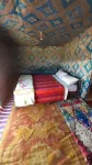 Desert Queen Camp