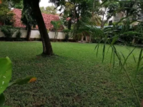 Nyali豪華客房 - 限成人