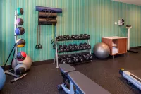 Holiday Inn Express & Suites GUNNISON by IHG - Gym