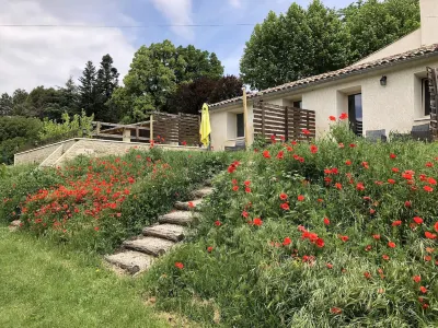 Les Ânes de Forcalquier Hotels in Mane