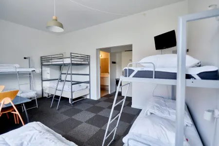Roskilde Danhostel Отели в г. Греве