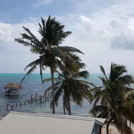 Anchorage Beach Resort Caye Caulker