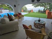 코트 세드르