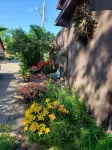Sunset Cove Resort Hotels in Bemidji