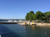 Apartment in Villa, Private Pool, Big Garden, Close to Sea and Old Zadar Town