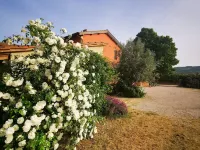 La Casa dei Tigli Hotels in Cannara