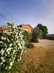La Casa dei Tigli Hotels in Cannara