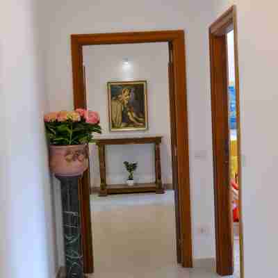 Estate4Home - Sofia Flora Others