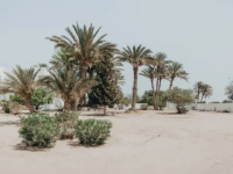 Hotel Bougainvillier Djerba Hôtels à : Djerba