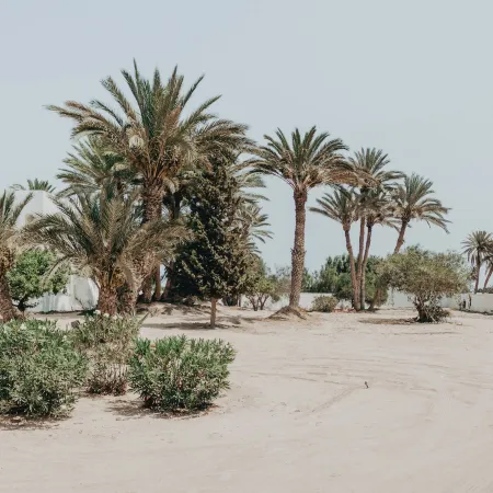 Hotel Bougainvillier Djerba