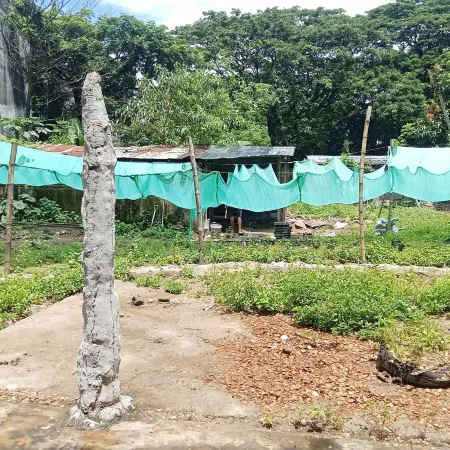 Backpackers Temple