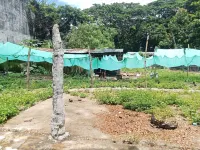Backpackers Temple - Scenic
