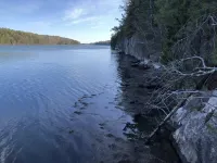 Doggett Castle Guest House Hotels in Westport