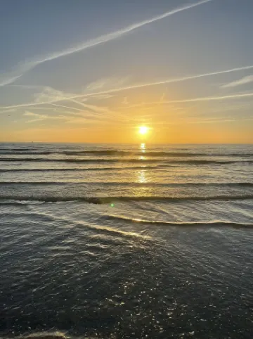 Clearwater’s gem, PRV GUEST SUITE 9 MINUTES FROM THE BEACH