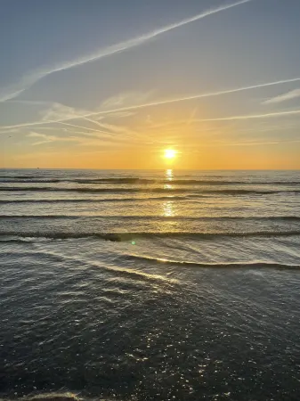 Clearwater’s gem, PRV GUEST SUITE 9 MINUTES FROM THE BEACH Отели рядом с достопримечательностью «Ларго Спортс Комплекс»