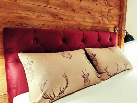 Alpen Apartment Werfenweng - peace and quiet - pool - mountain view