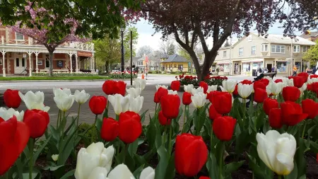 Luxury 1835 Cottage in NOTL. Private parking. Right in centre near Shaw Theatre. Отели рядом с достопримечательностью «Флорал Клок»