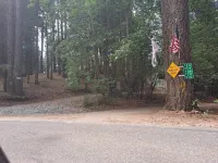 The Alta House/Sierra Woods