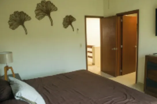 Tropical Getaway in Flamingos Near Beach