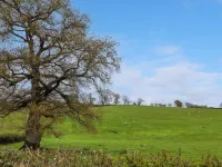 Aelybryn Hotels in Llanymynech