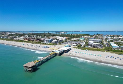 1. 노스 올랜도 애..