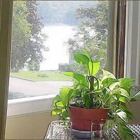The Pebble Bed and Breakfast