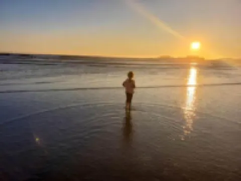 トフィーノ モーテル ハーバービュー トフィーノのホテル