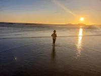 Tofino Motel Harborview Hotels in Tofino