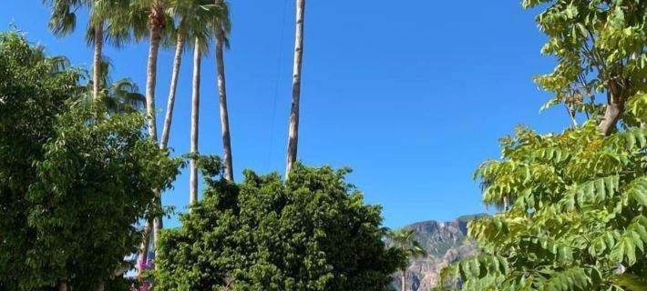 Tripui Hotel Hotels in Loreto