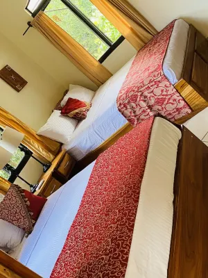 Enchanted Monkey Apartment