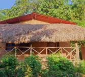 Ixak Cabañas Axtla de Terrazas住宿飯店