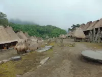 New Bintang Bajawa - Homestays