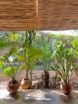 Umoja Guest House Hotels near ACT Ouaga