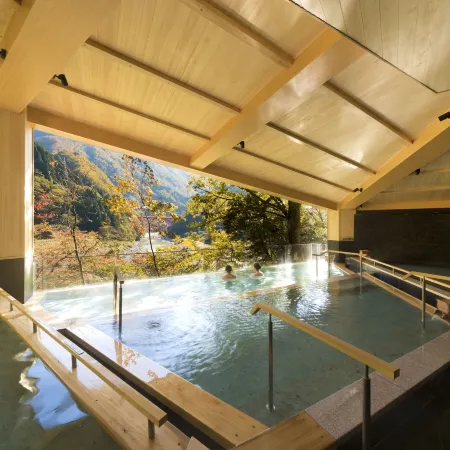 Kurobe Unazukionsen Yamanoha