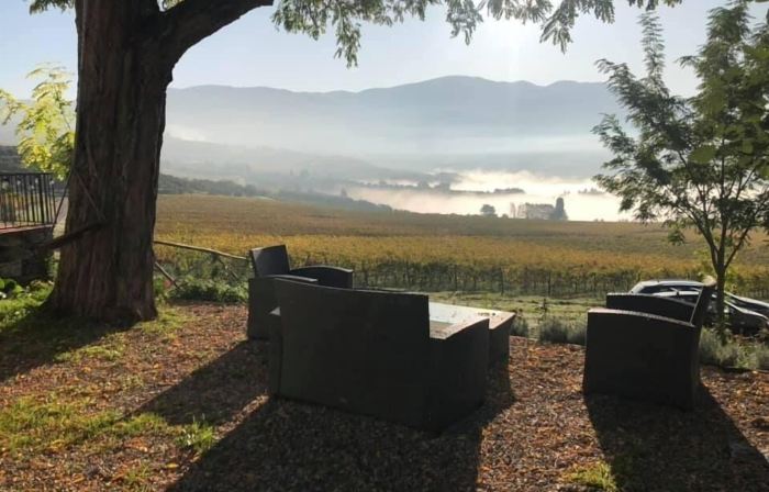AZIENDA AGRICOLO IL POGGIOLINO