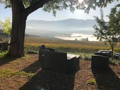 Azienda Agricola Il Poggiolino - agriturismo