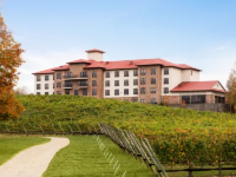 Holiday Inn Express & Suites LEXINGTON NW-THE VINEYARD by IHG Hotels in Davidson County