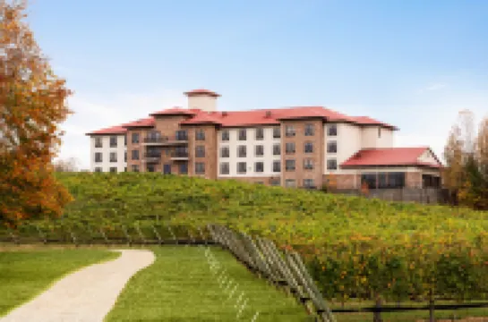 Holiday Inn Express & Suites LEXINGTON NW-THE VINEYARD by IHG