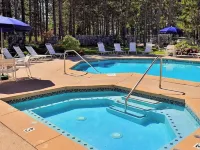 Cozy Getaway Near All the FUN! Harbor Springs/Petoskey Hotels in Pleasantview Township