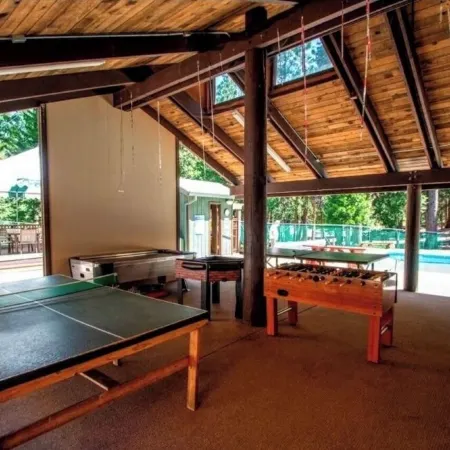 Cabin close to Bear Valley Game Room,Pets,EV Friendly Rec Center Access