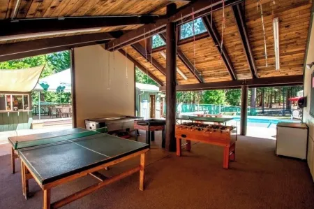 Cabin close to Bear Valley Game Room,Pets,EV Friendly Rec Center Access