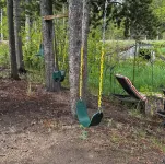 Beautiful Year Round - Creekside Cabin - Near RMNP - Dog Friendly