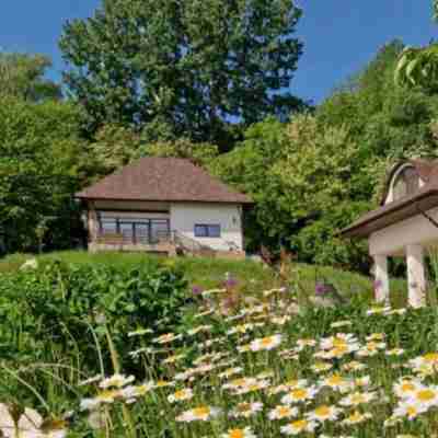 Provence Suceava Hotel Exterior