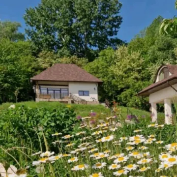 Provence Suceava