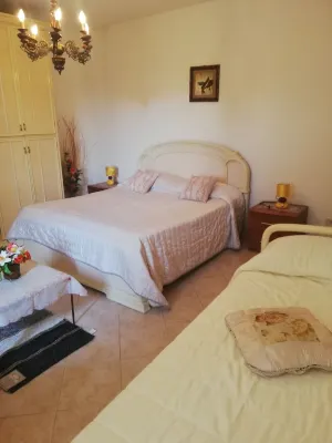 Lush area in large green spaces