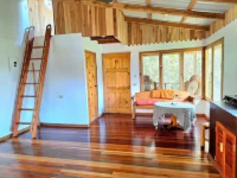 Cabin next to the forest with mountain view 帕拉伊索酒店