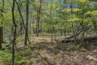 Kick back and relax in this calming, stylish space! Hotels in Milo