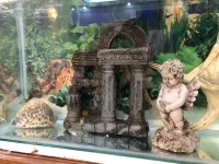 Beautiful Condo with elevator