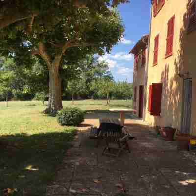 Provençal farm among olive trees; view of the hill from a large shaded terrace Hotel Exterior